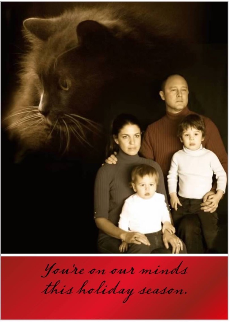 UNADJUSTEDNONRAW_thumb_3df6